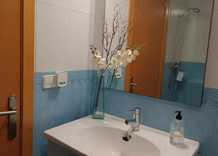 Les Palmeres Centre Appartement *